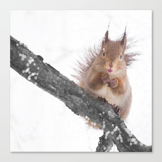 Little squirrel - smack! Canvas Print