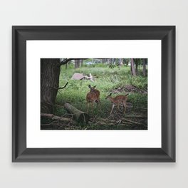 oh, deer Framed Art Print