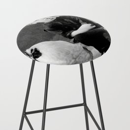 Smoking Boy with Chicken black and white photograph - photography - photographs Bar Stool