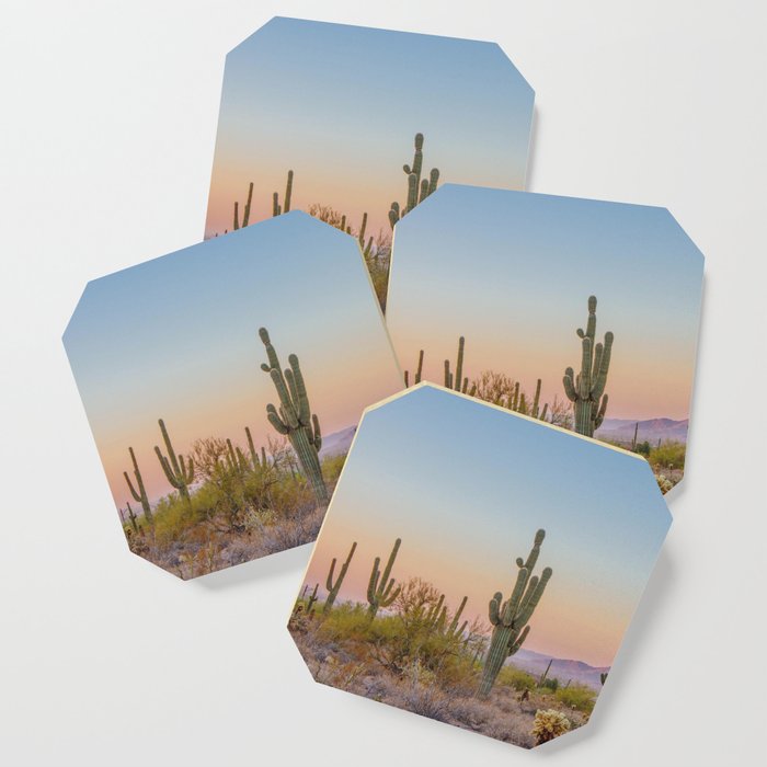 Desert / Scottsdale, Arizona Coaster