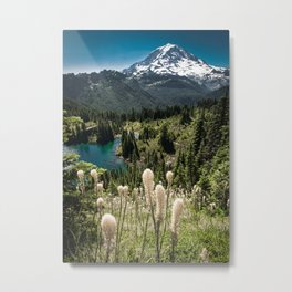 Mt. Rainier, Eunice Lake, Bear Grass Metal Print