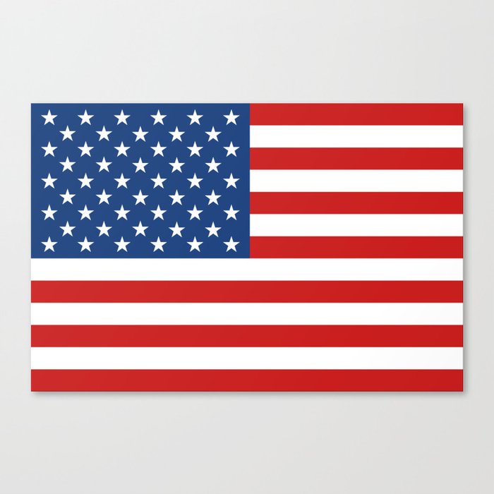 American flag Canvas Print