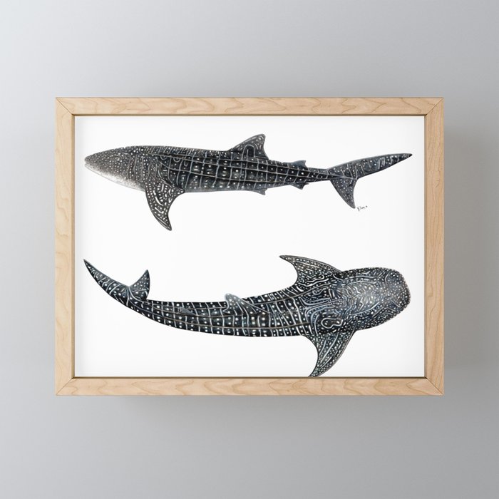 Whale sharks Framed Mini Art Print