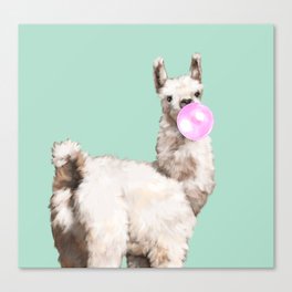 Baby Llama Blowing Bubble Gum Canvas Print