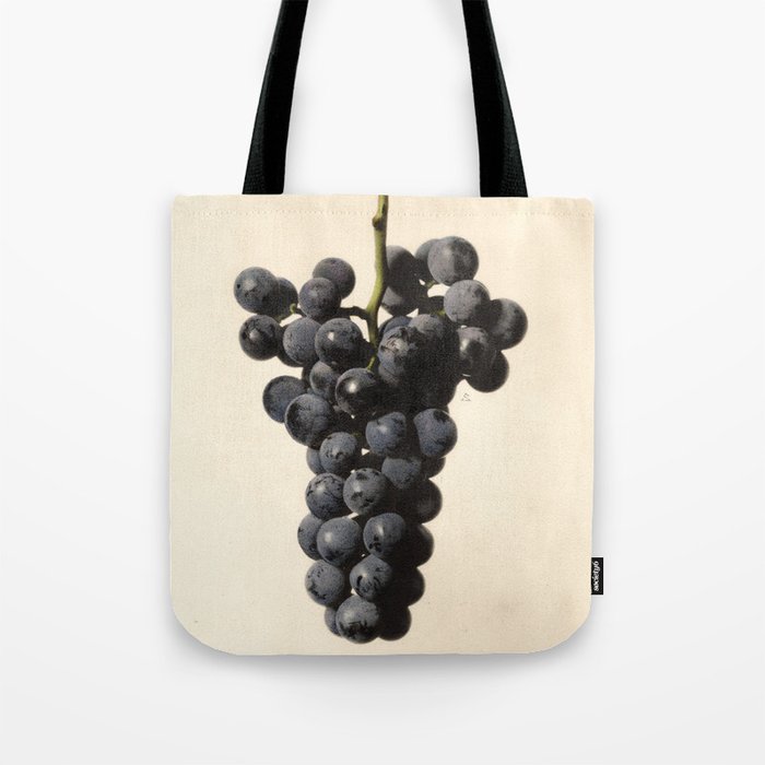 Vintage Concord Grapes Illustration Tote Bag