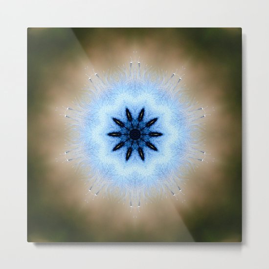 Focus Metal Print