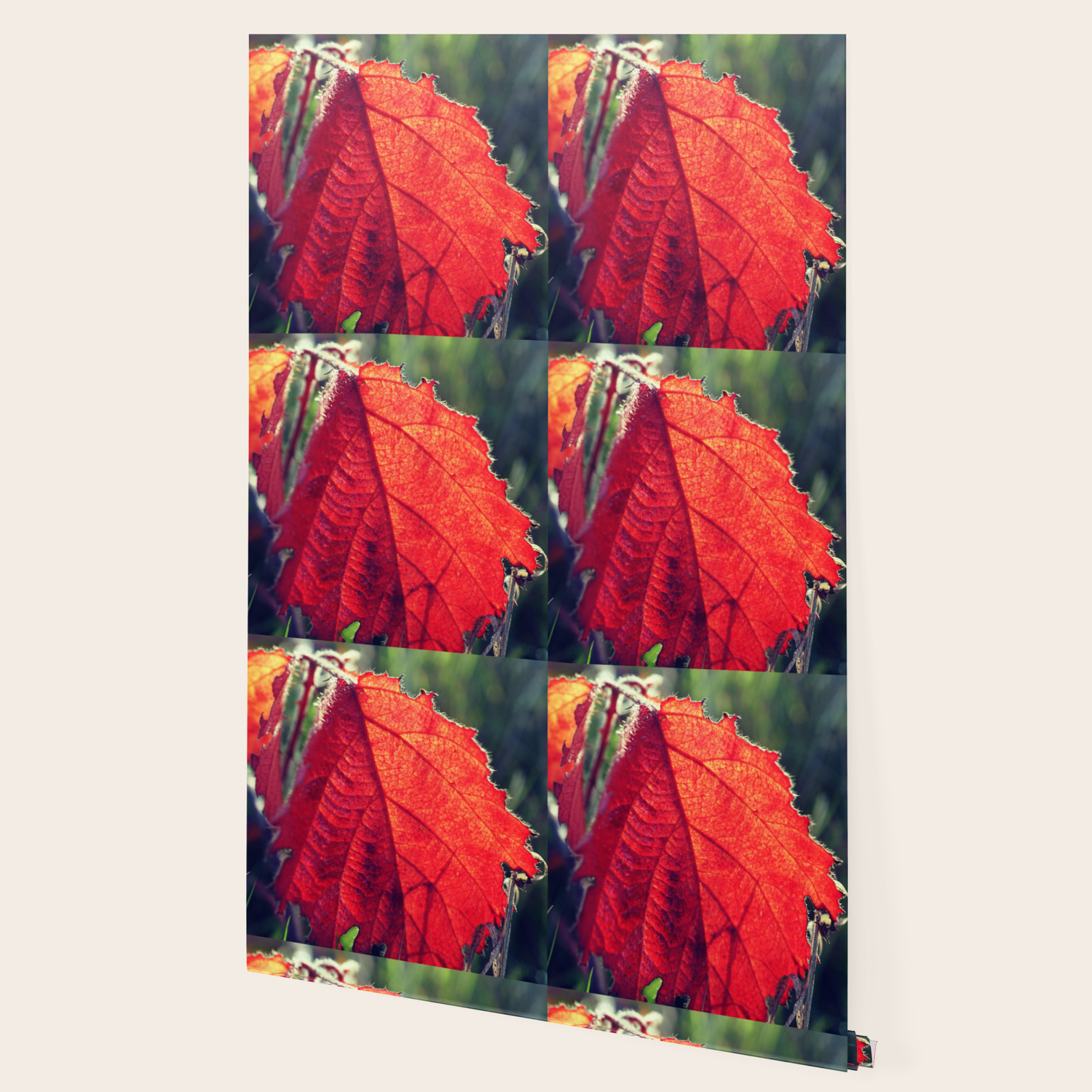 Red Leaves Wallpaper By Nicholasgreen Society6