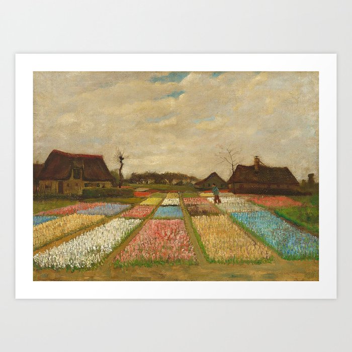 Tulip Bulb Fields by Vincent van Gogh Art Print