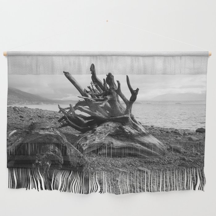 Root on Beach Black and White Wall Hanging