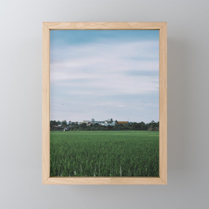 afternoon view near rice fields Framed Mini Art Print