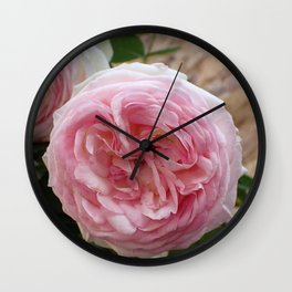Fascinating Gorgeous Pink Roes Blossom Close Up Ultra HD Wall Clock