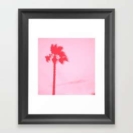 Palm tree Framed Art Print