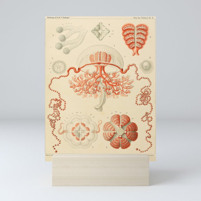 Mini Art Print