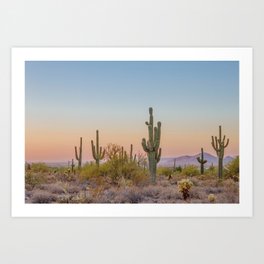 Desert / Scottsdale, Arizona Art Print
