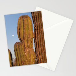 Mexico Photography - Cactuses In The Late Night Evening Stationery Card