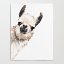 Sneaky Llama White Poster