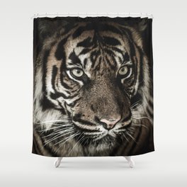 Tiger portrait Shower Curtain