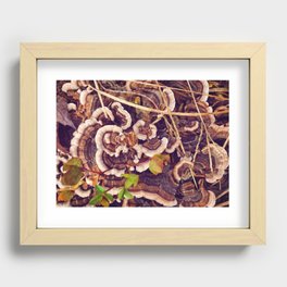 Mushroom Honeymoon Recessed Framed Print