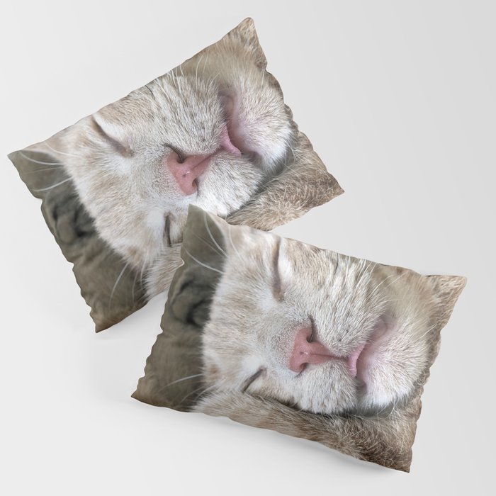 Soft Fluffy Kitty Pillow Sham