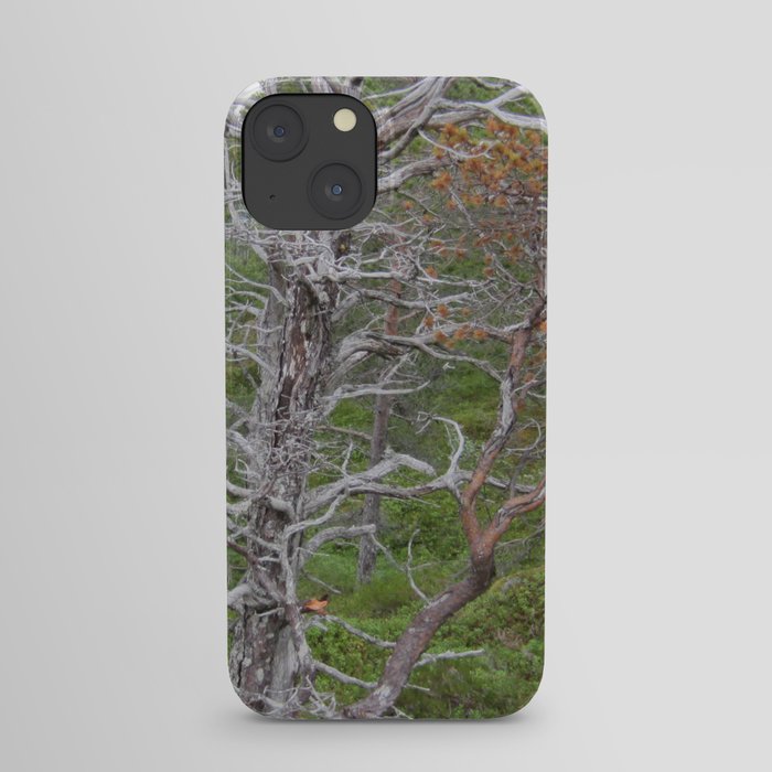 Life and death iPhone Case