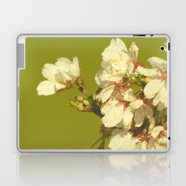 Scottish Highlands Weeping Cherry Blossom with colourful Background Laptop Skin