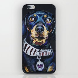 Funniest dog: Willow iPhone Skin