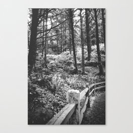 PNW Forest | Black and White Photography | Oregon Nature Canvas Print