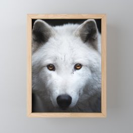white wolf Framed Mini Art Print
