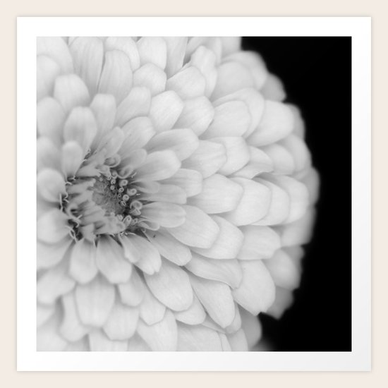 Layers Art Print
