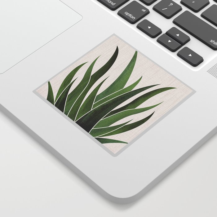 Desert Agave Succulent Illustration Sticker