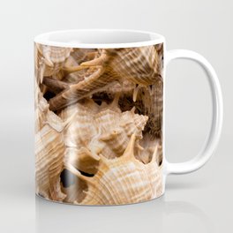 Seashells collection background Coffee Mug