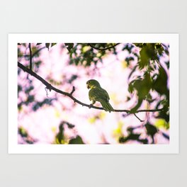 Bird Art Print | Pink, Free, Tree, Animal, Digital, Color, Nature, Green, Bird, Beautiful 