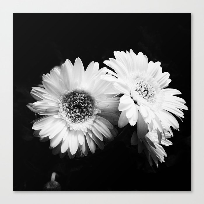 Flowers In Black And White Nature Vintage Photography Canvas Print By Staypositivedesign Society6