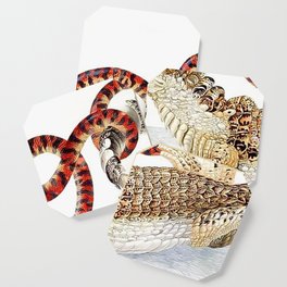 Spectacled Caiman and a False Coral Snake by Maria Sibylla Merian c.1705-10 // Wild Animals Decor Coaster