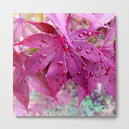 Red Maple Tree Metal Print | Photo, Redmapleleaves, Nature, Redleaves, Mapleleaves, Raindrops, Japanesemaple, Leaves, Tree 