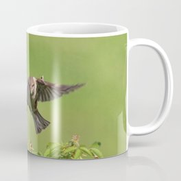Sparrow In Flight Mug