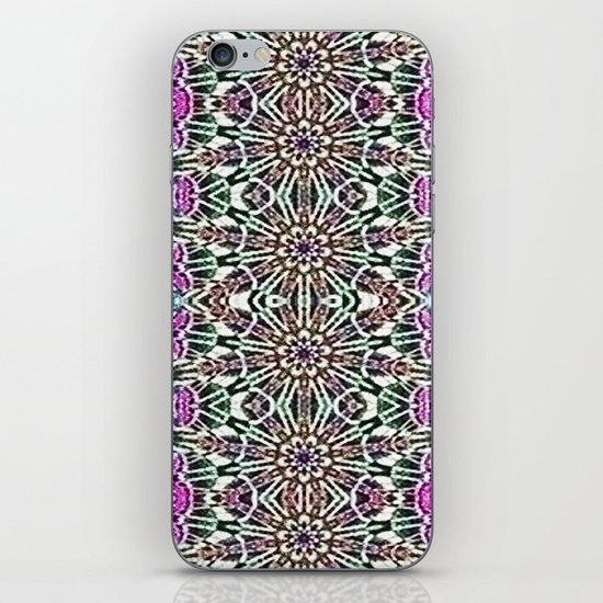 An Indian Garden iPhone & iPod Skin