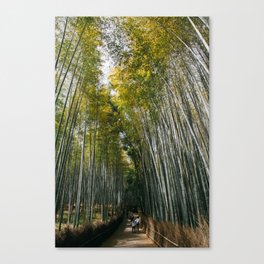 Arashiyama Bamboo Groves Canvas Print