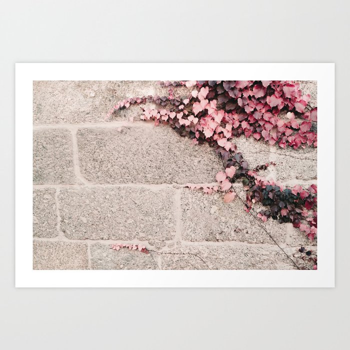 Pink Ivy  Art Print