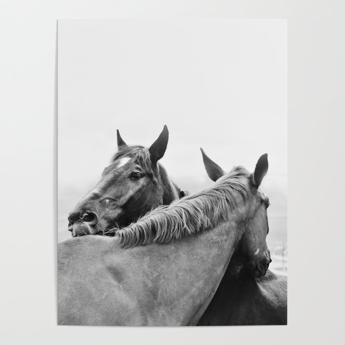 Two Horses Poster