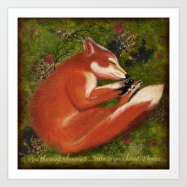 Sleeping Fox, Listen to your Heart Art Print