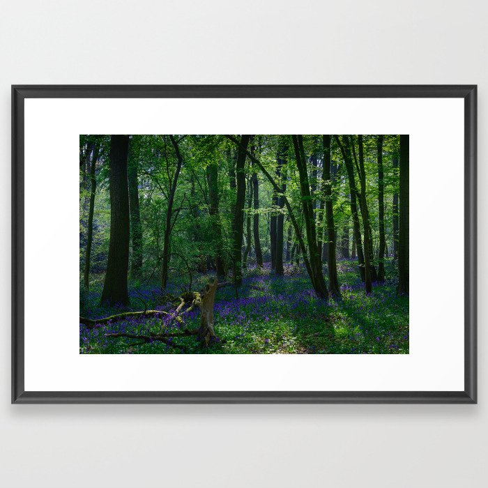 Bluebell Woods 3 Framed Art Print