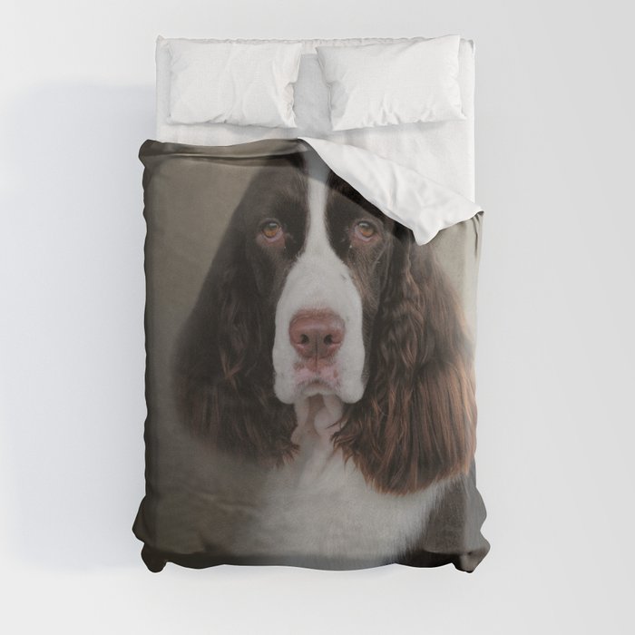 Springer on sale spaniel blanket