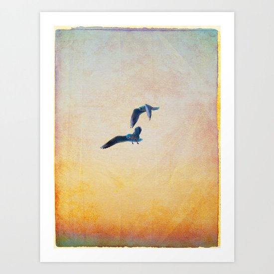 gulls Art Print