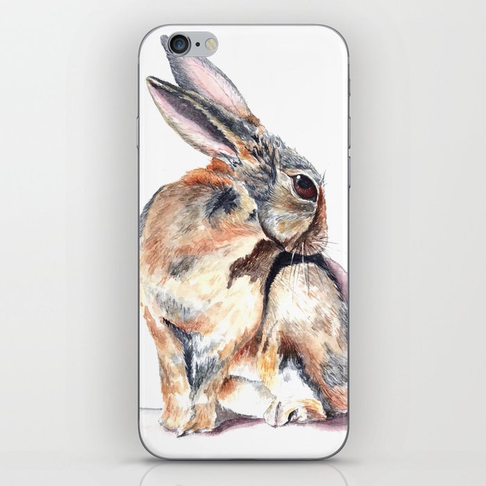 Cottontail Rabbit iPhone Skin