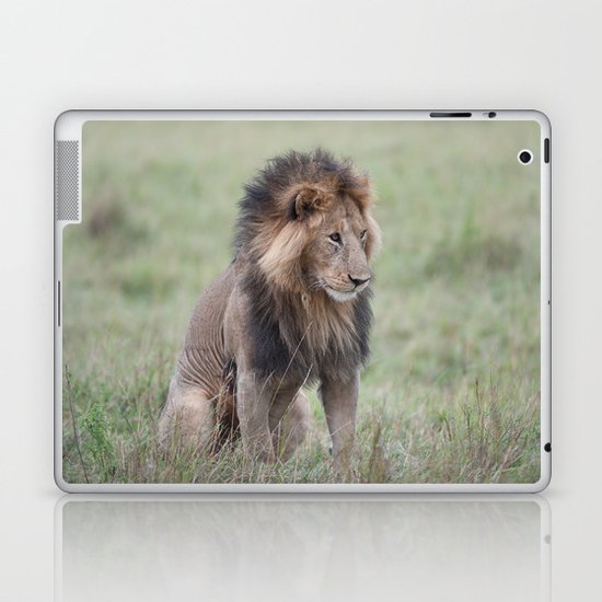 Lion Laptop & iPad Skin