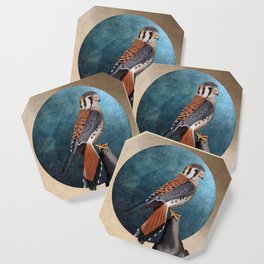 American kestrel bird illustration Coaster