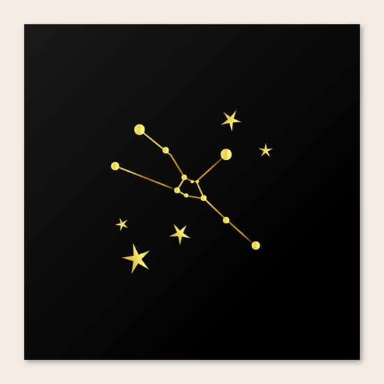 Taurus Canvas Print