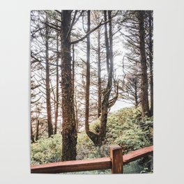 Forest and Fog | PNW | Travel Photography Poster
