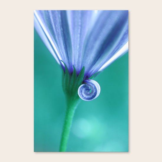 Forgotten Canvas Print